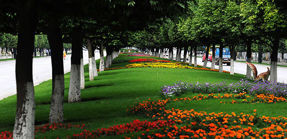 1482459856783982.jpg 1482459856783982.jpg