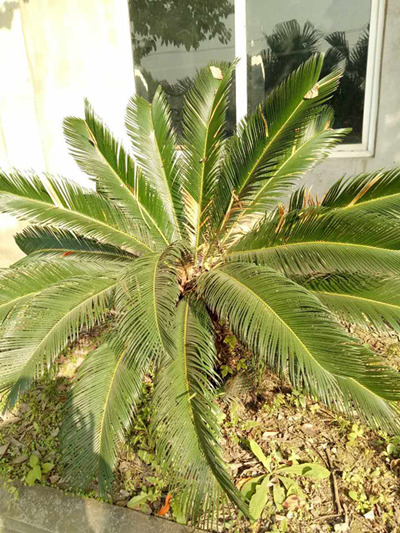 1484710015193109.jpg 214499507392558700_副本.jpg