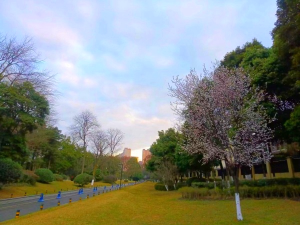 1713251541704690.jpg 4d73961e79f33b0f3e67114c212638d.jpg