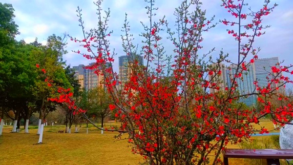 1713251582616666.jpg 27726bbea4225e54a8cc71026d05173.jpg